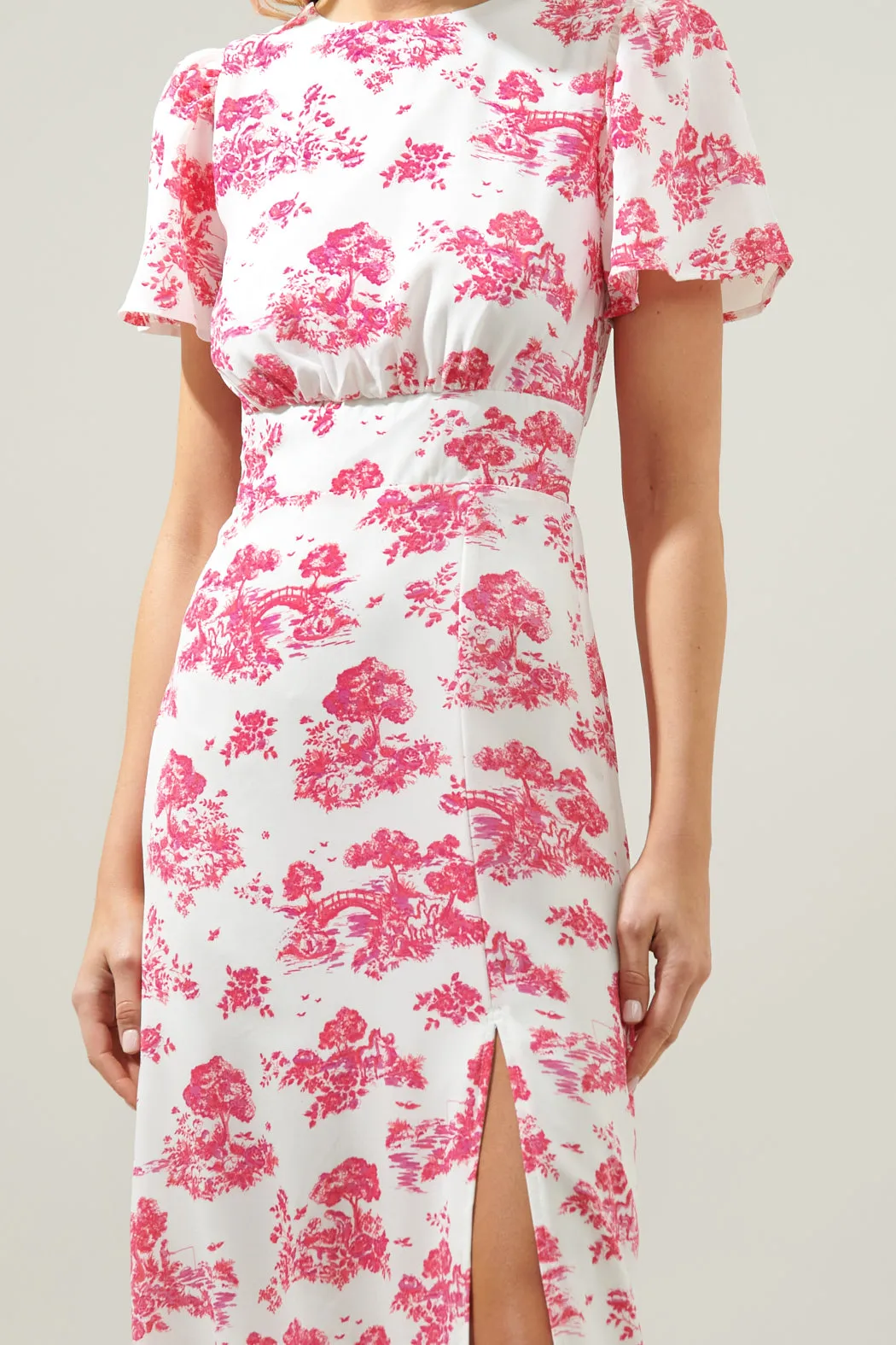 Ainsley Meadow Toile Bloom Midi Dress