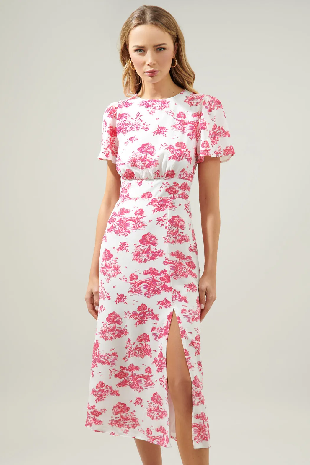 Ainsley Meadow Toile Bloom Midi Dress