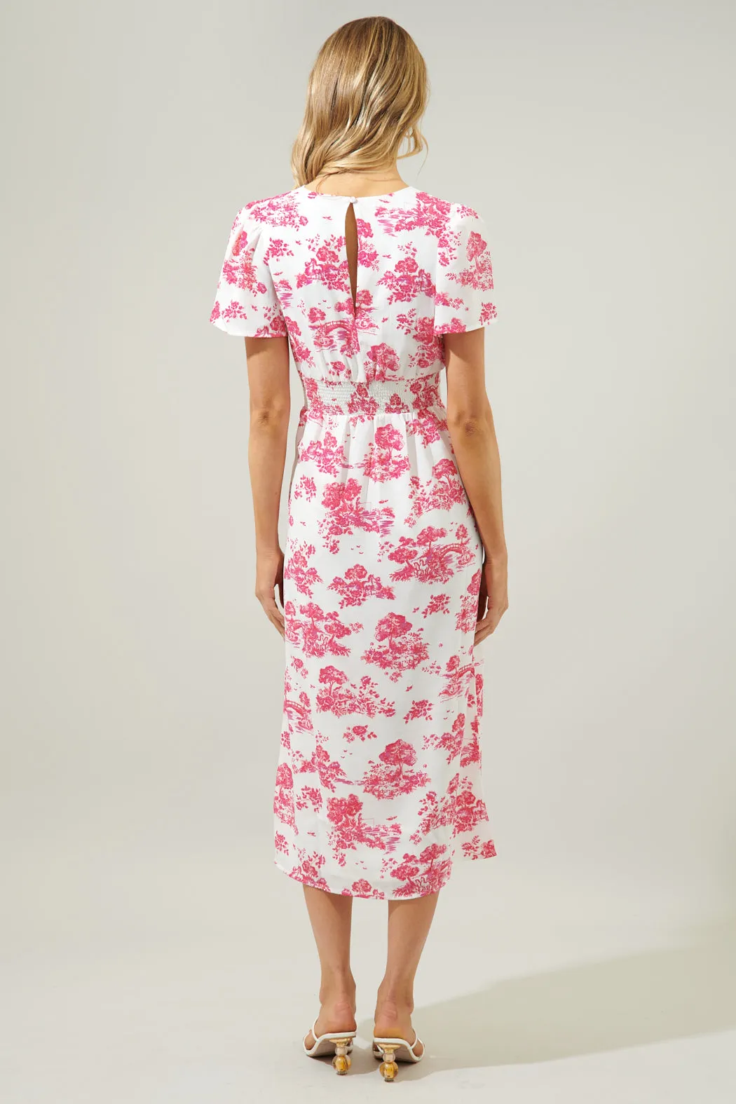 Ainsley Meadow Toile Bloom Midi Dress