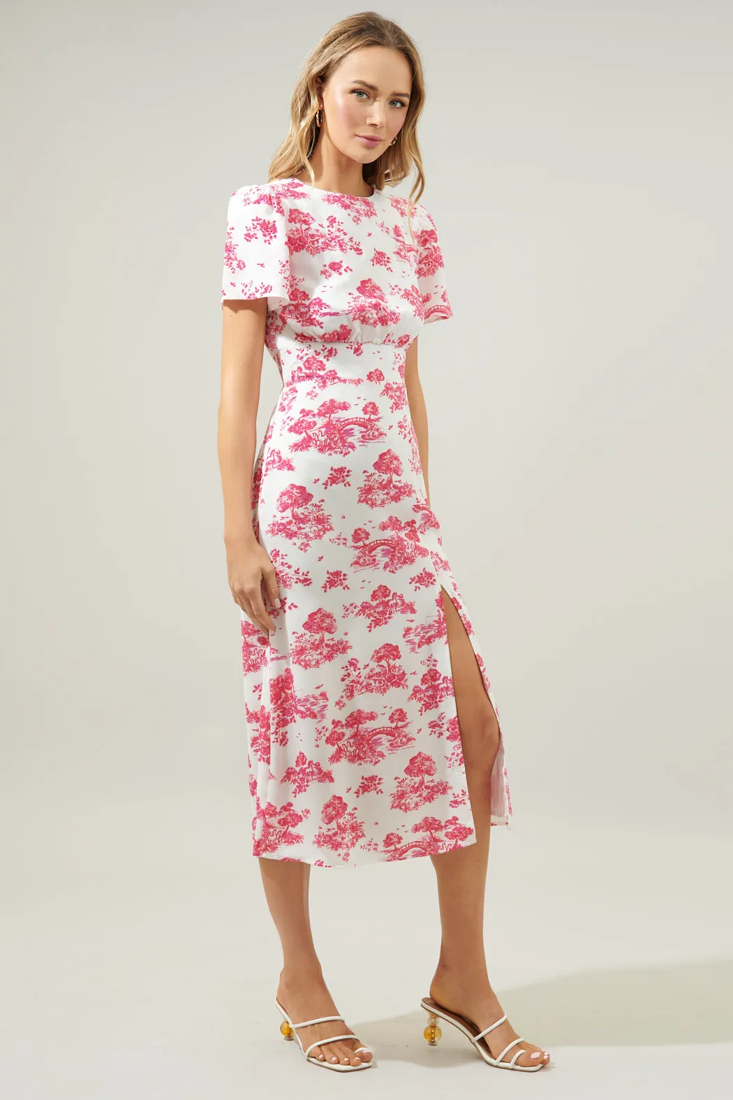 Ainsley Meadow Toile Bloom Midi Dress