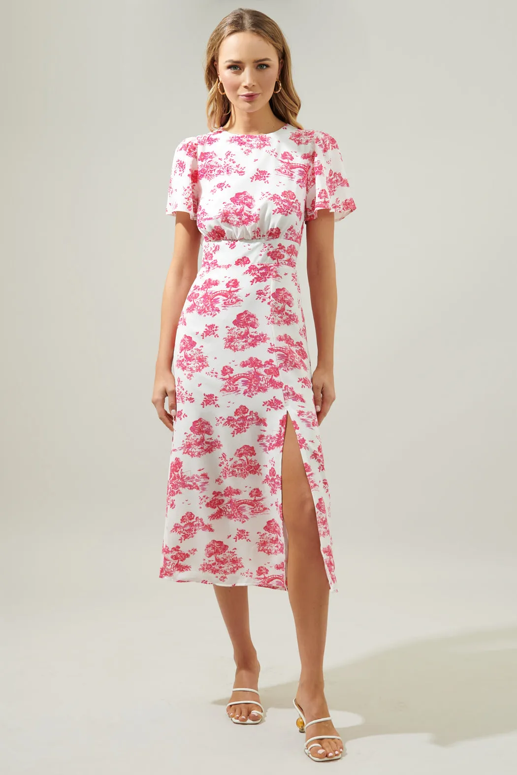 Ainsley Meadow Toile Bloom Midi Dress