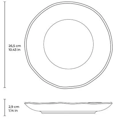 Bio 10.4" Bio Matte Black Dinner Plate Set