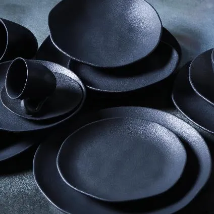 Bio 10.4" Bio Matte Black Dinner Plate Set