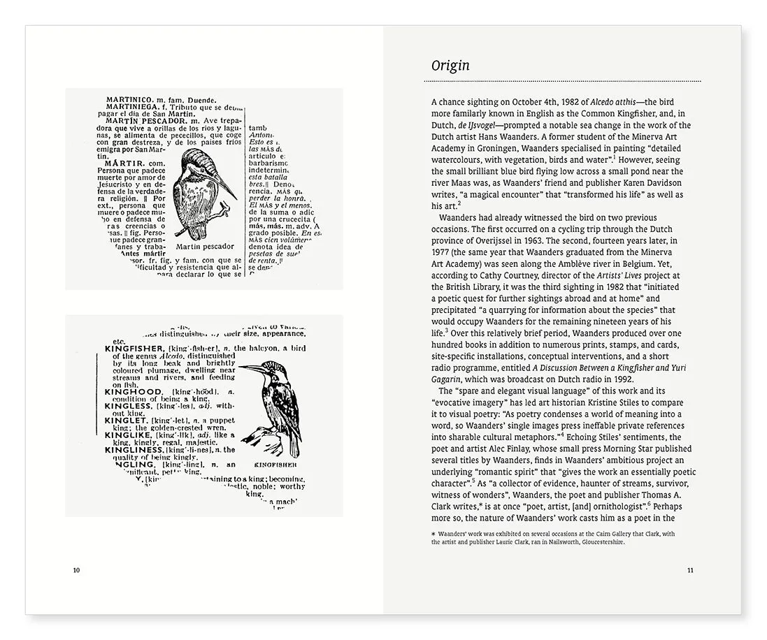 Brilliant Absence - Pursuing the Kingfisher in the Work of Hans Waanders