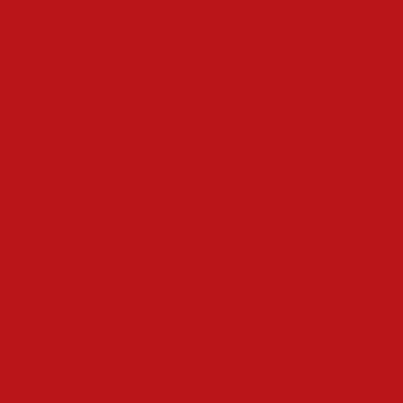Change Agent Magnetic Original Lipstick O 121 PARTY RED