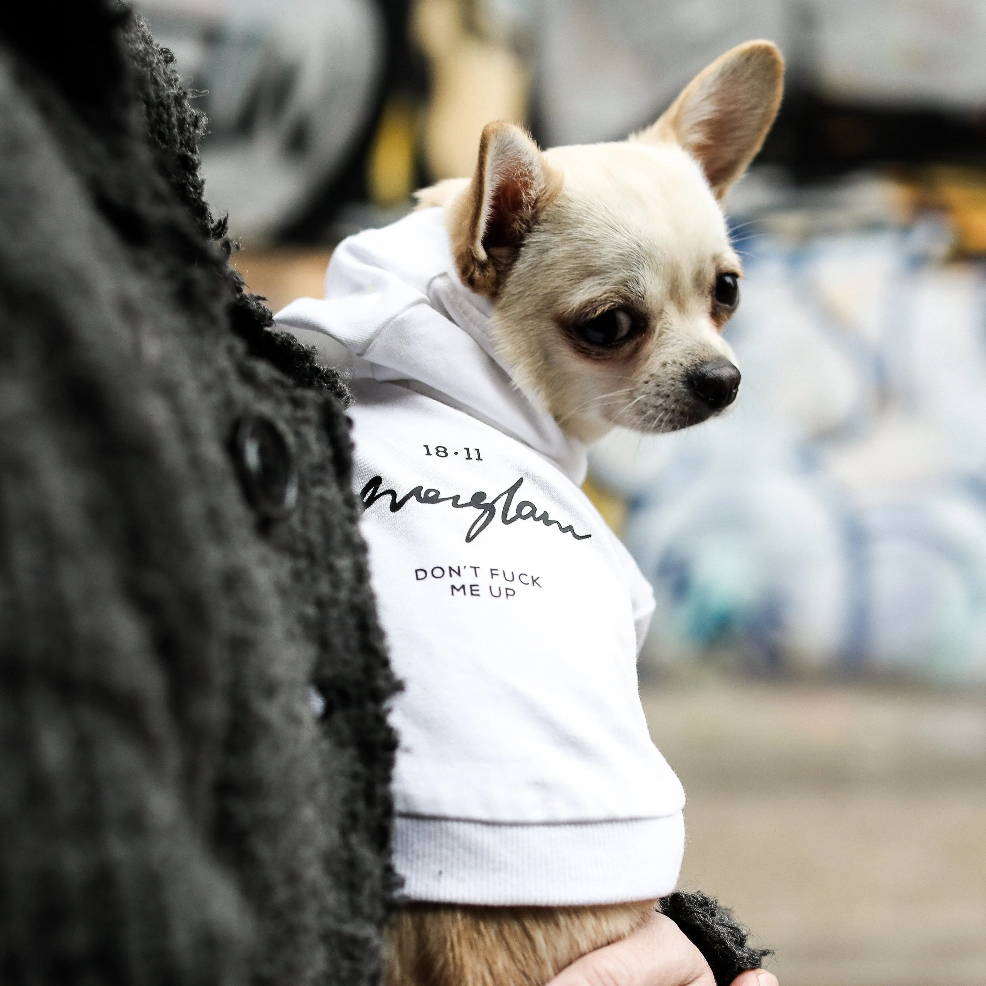 Don't F* Me Up Sweatshirt