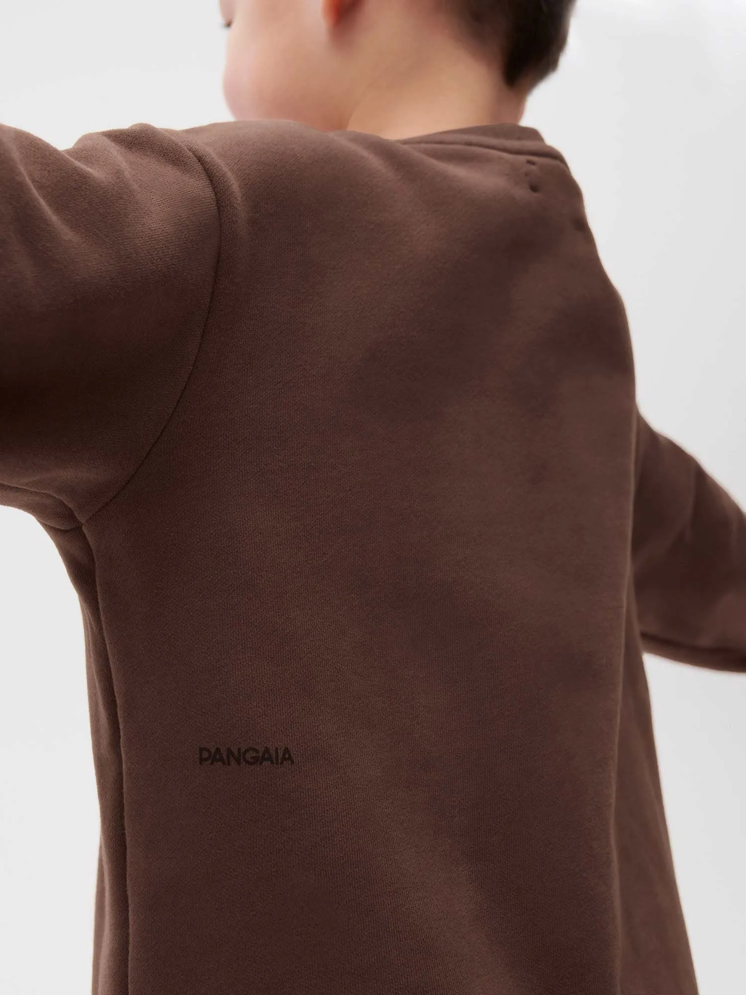 Kids' 365 Sweatshirt - Neutral Tones—chestnut brown