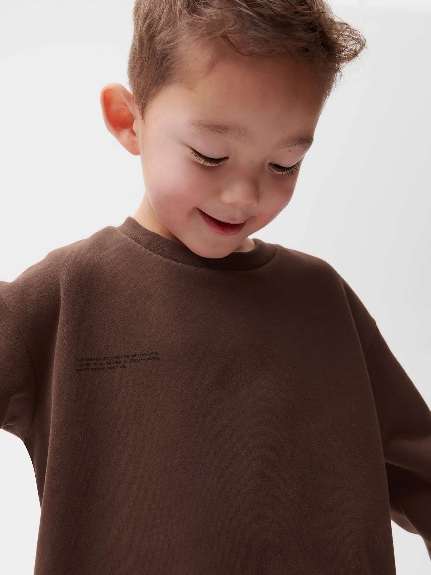 Kids' 365 Sweatshirt - Neutral Tones—chestnut brown