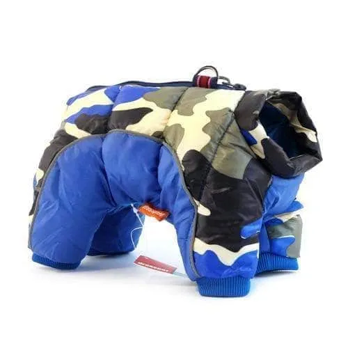 Manteau Bouledogue Francais (Hiver 2020 / 2021)