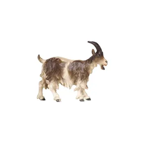 PEMA Kostner Nativity - Goat Head Up
